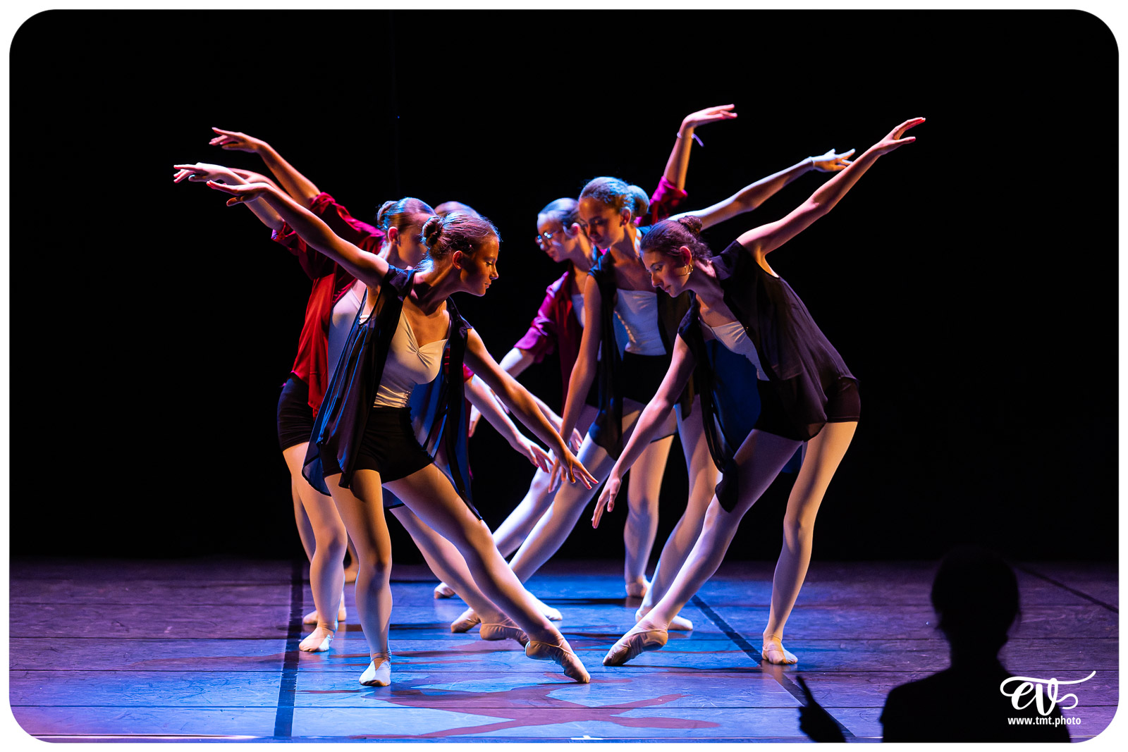 GALA DE DANSE 2026 EMMDH